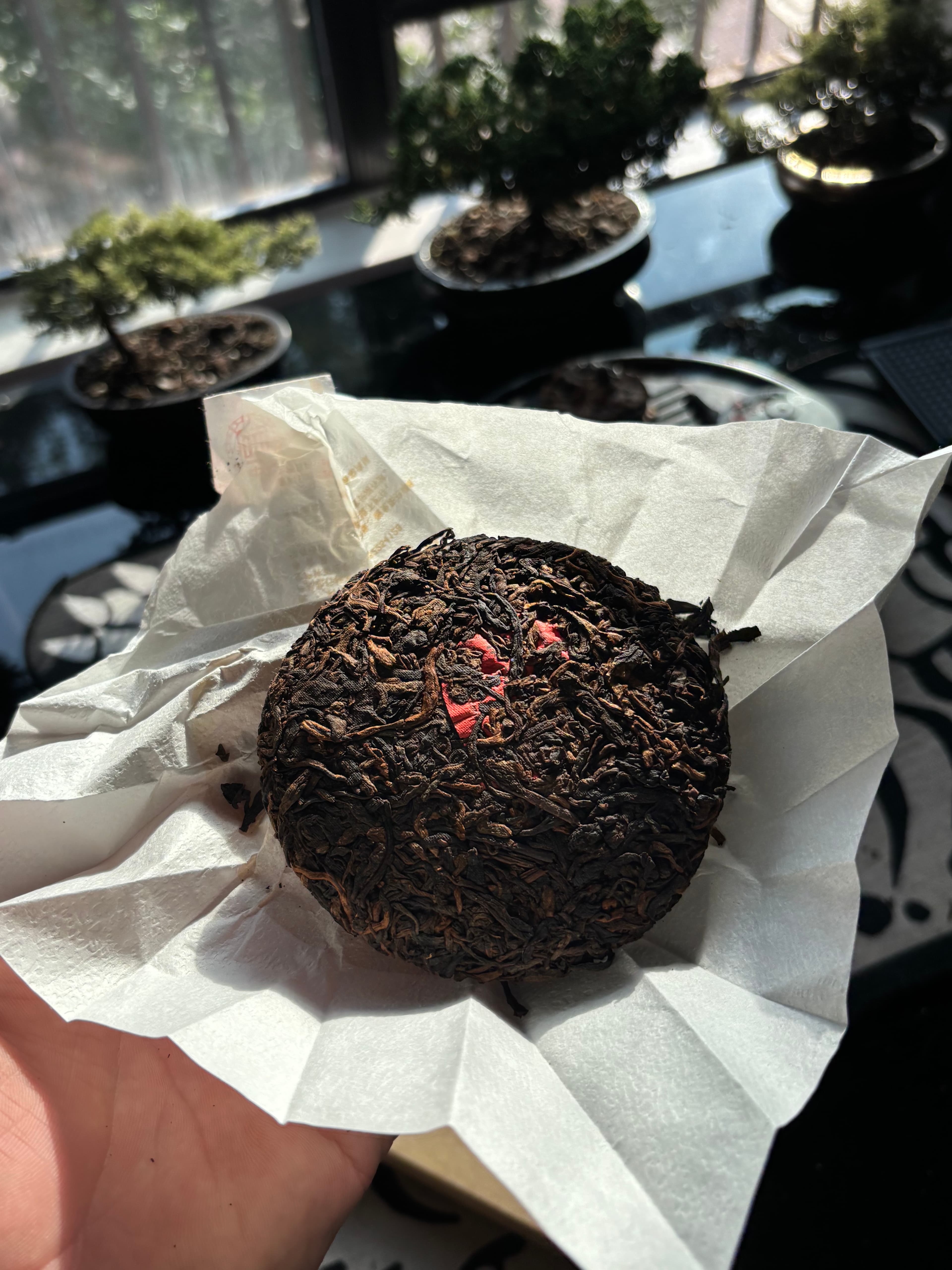2020 Lao Banzhang Shu Pu-erh