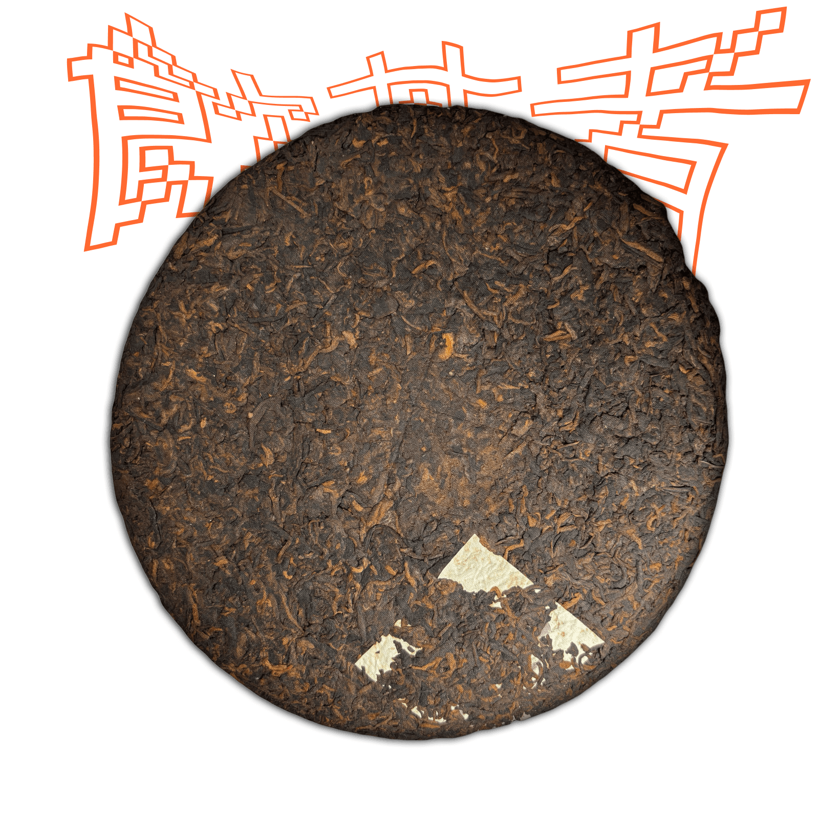 Shu Pu’er “Da Xue Shan – Big Snow Mountain” 2009