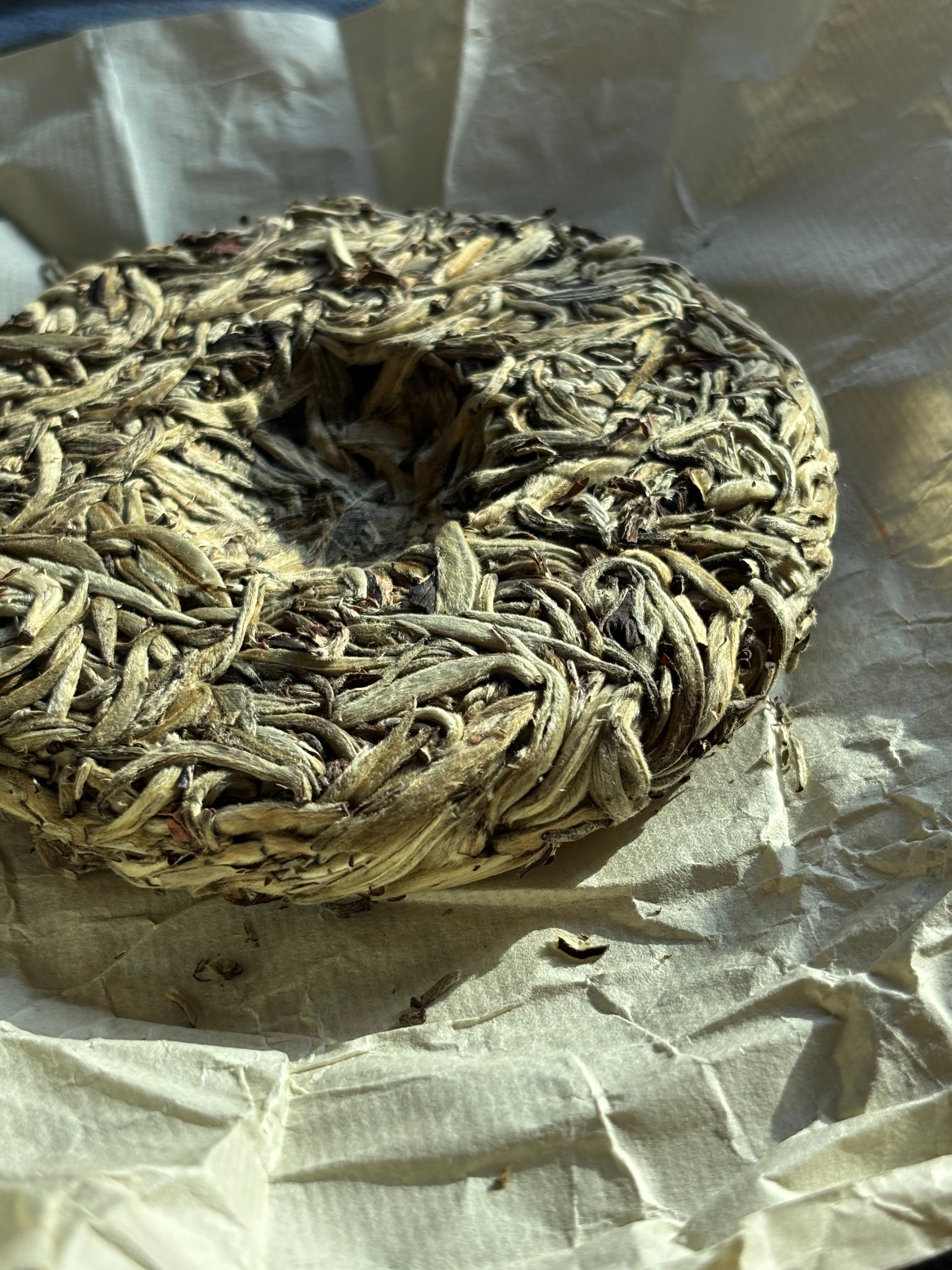 2023 Jinggu Yangta White Tea